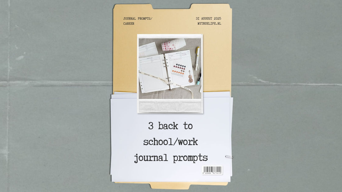 3 journal prompts for your career | My Not So Secret Journal Club