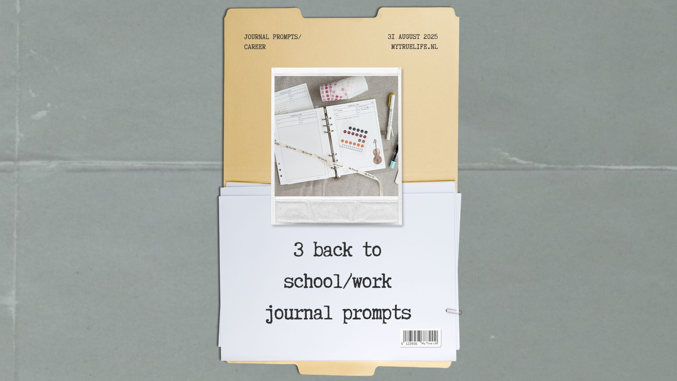 3 journal prompts for your career | My Not So Secret Journal Club