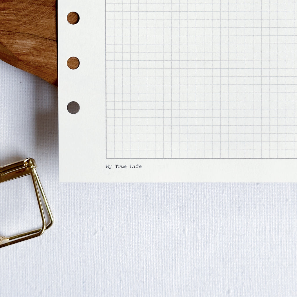 Graph Paper Ring Binder Inserts